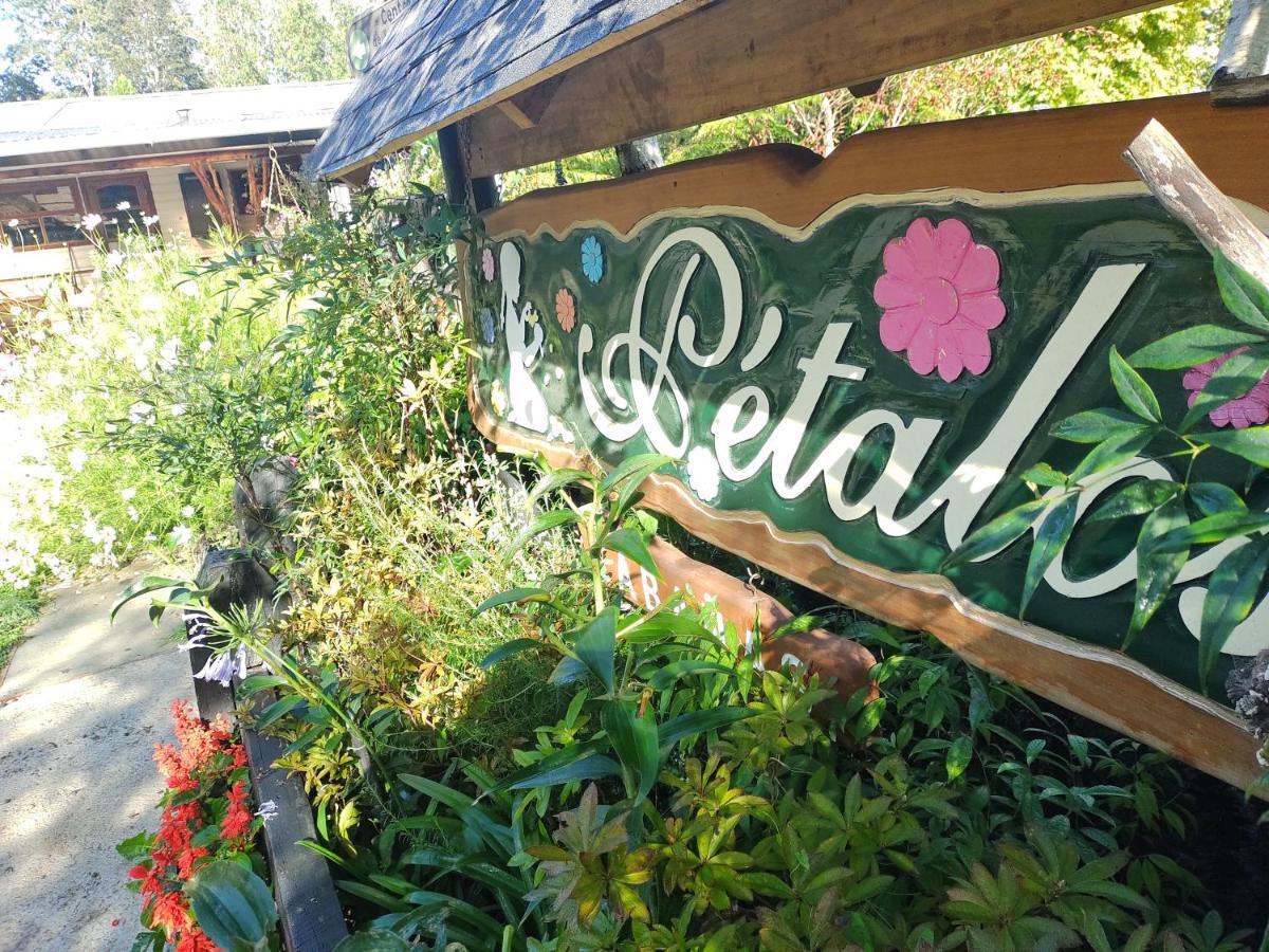 Complejo Cabanas Petalos บียารีกา ภายนอก รูปภาพ