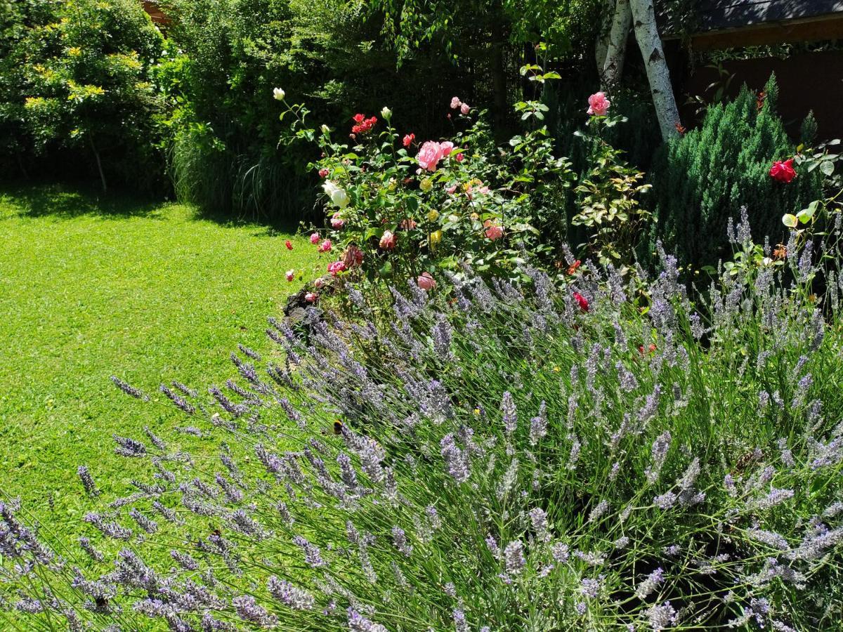 Complejo Cabanas Petalos บียารีกา ภายนอก รูปภาพ