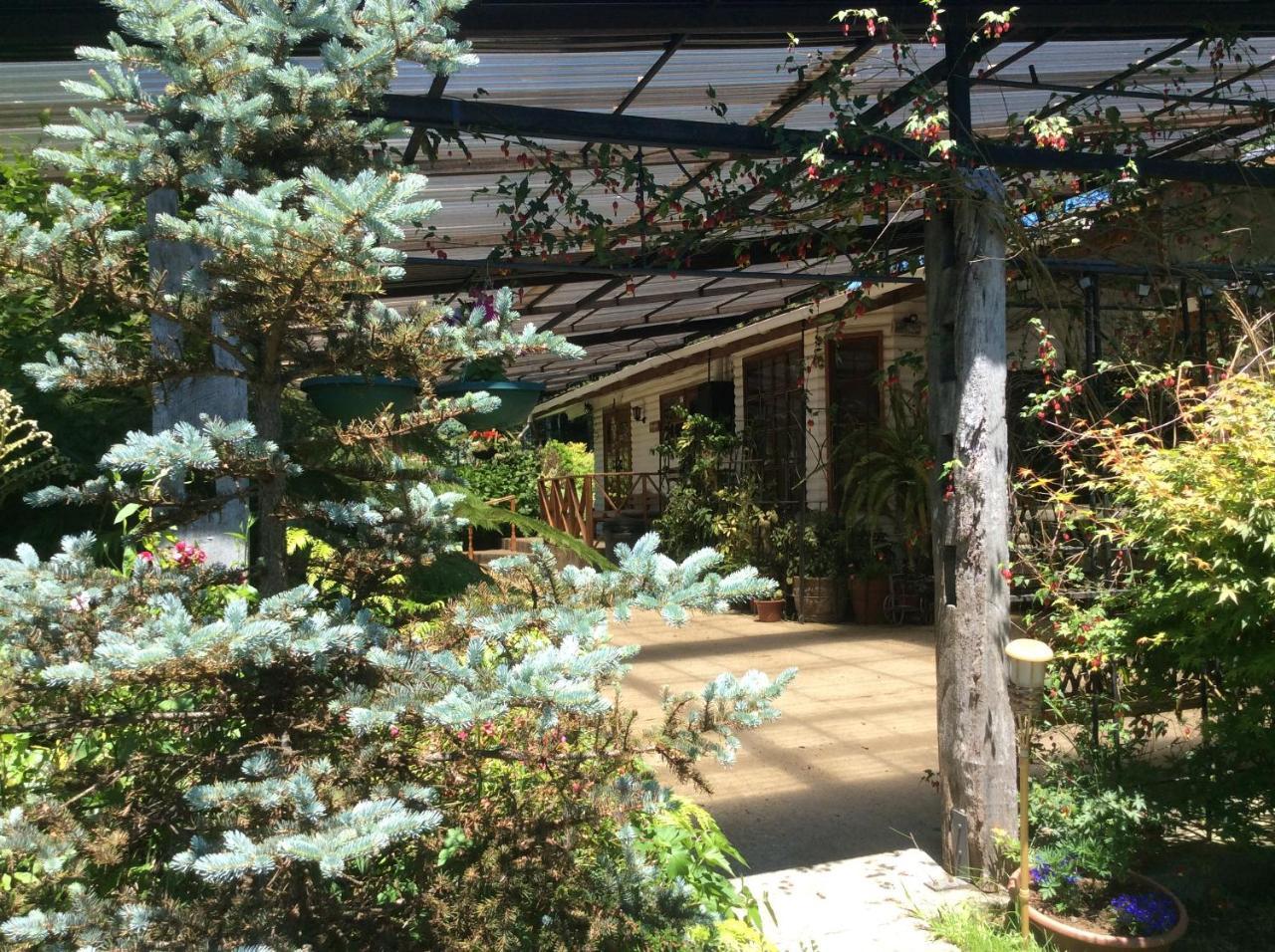 Complejo Cabanas Petalos บียารีกา ภายนอก รูปภาพ